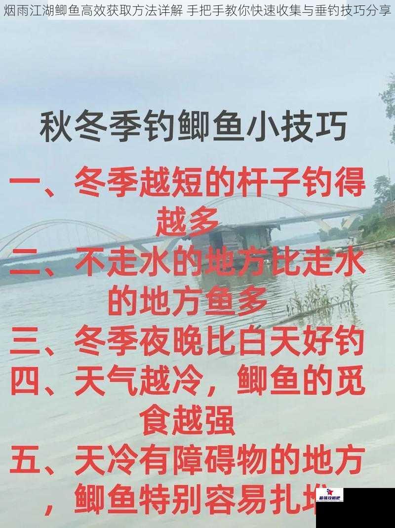 烟雨江湖鲫鱼高效获取方法详解 手把手教你快速收集与垂钓技巧分享