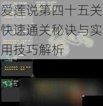 爱莲说第四十五关快速通关秘诀与实用技巧解析