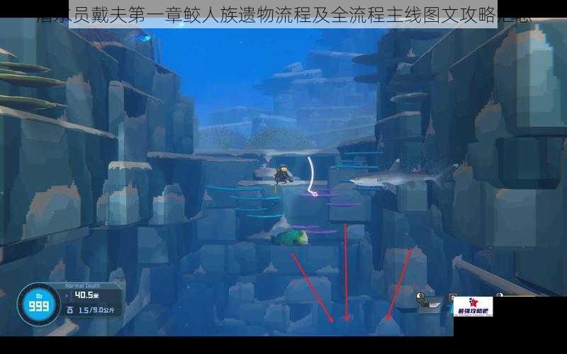 潜水员戴夫第一章鲛人族遗物流程及全流程主线图文攻略汇总