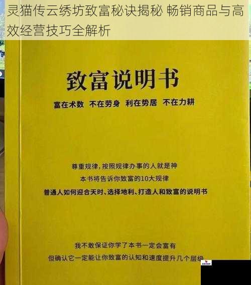 灵猫传云绣坊致富秘诀揭秘 畅销商品与高效经营技巧全解析