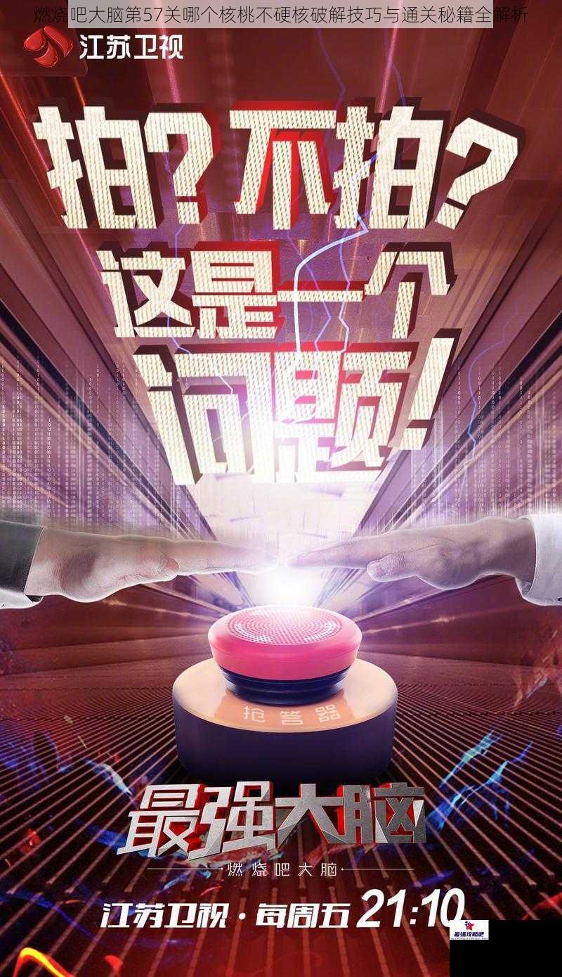 燃烧吧大脑第57关哪个核桃不硬核破解技巧与通关秘籍全解析