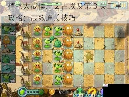 植物大战僵尸 2 古埃及第 3 关三星攻略：高效通关技巧