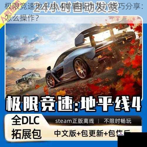 极限竞速地平线 4车辆操作及小技巧分享：怎么操作？