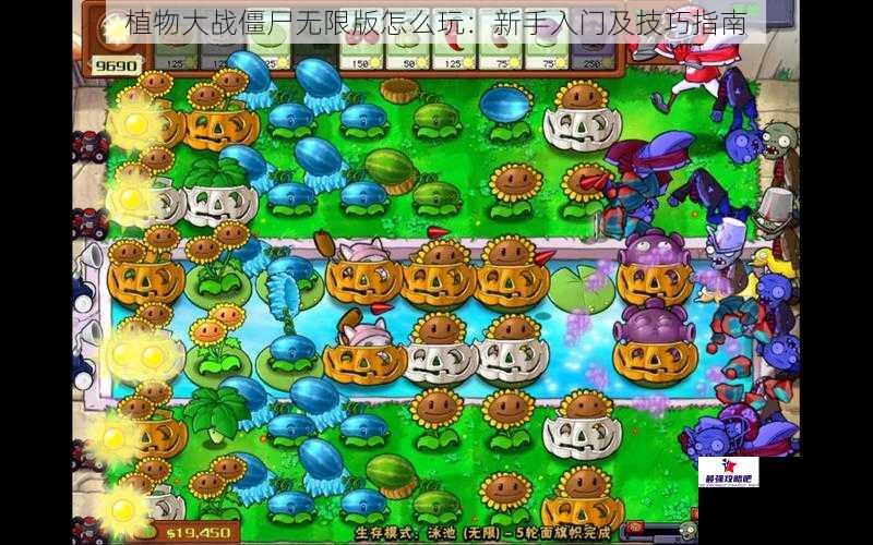 植物大战僵尸无限版怎么玩：新手入门及技巧指南