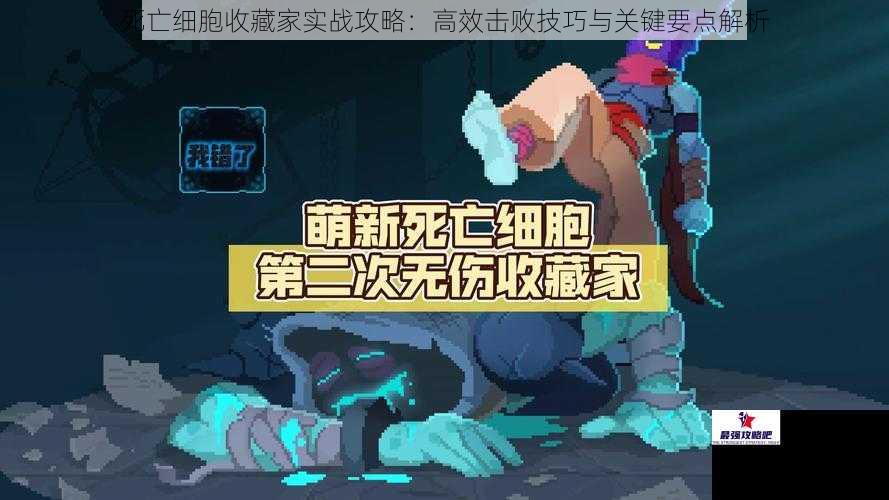 死亡细胞收藏家实战攻略：高效击败技巧与关键要点解析