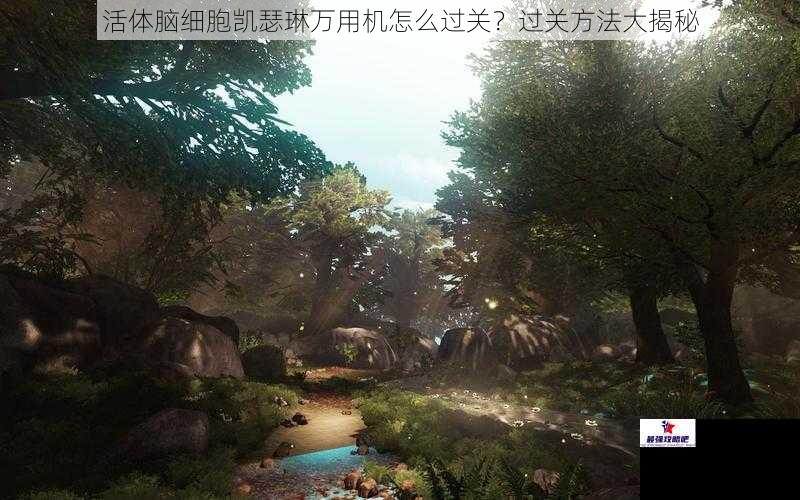 活体脑细胞凯瑟琳万用机怎么过关?过关方法大揭秘