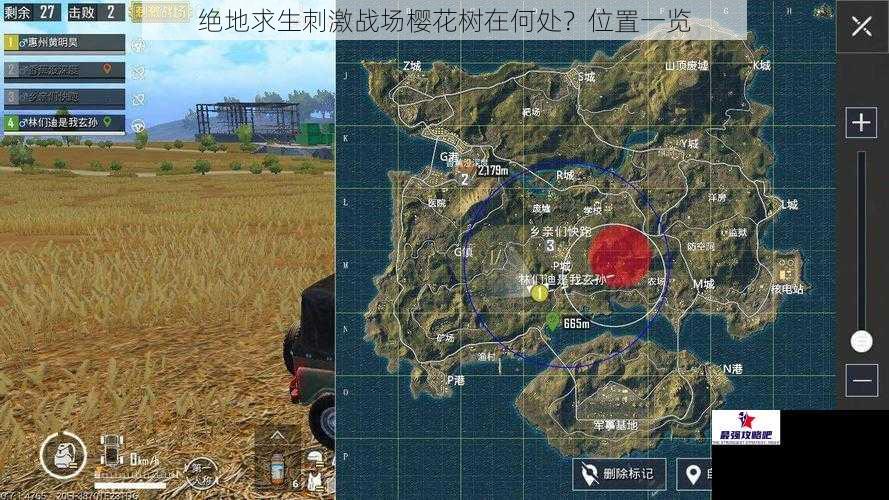 绝地求生刺激战场樱花树在何处？位置一览