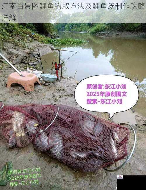 江南百景图鲤鱼钓取方法及鲤鱼汤制作攻略详解
