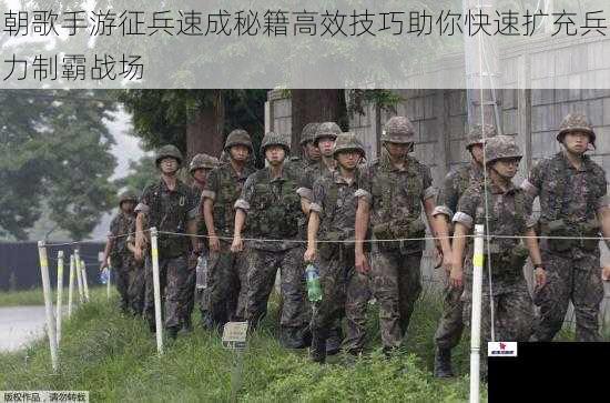 朝歌手游征兵速成秘籍高效技巧助你快速扩充兵力制霸战场