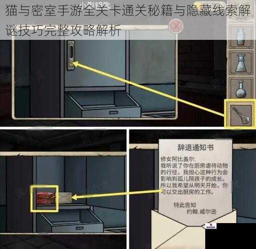 猫与密室手游全关卡通关秘籍与隐藏线索解谜技巧完整攻略解析