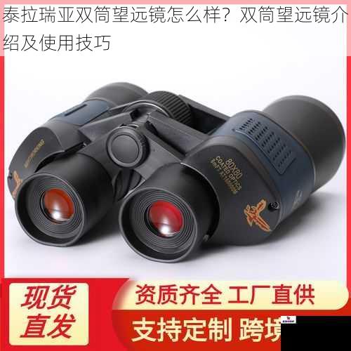 泰拉瑞亚双筒望远镜怎么样？双筒望远镜介绍及使用技巧