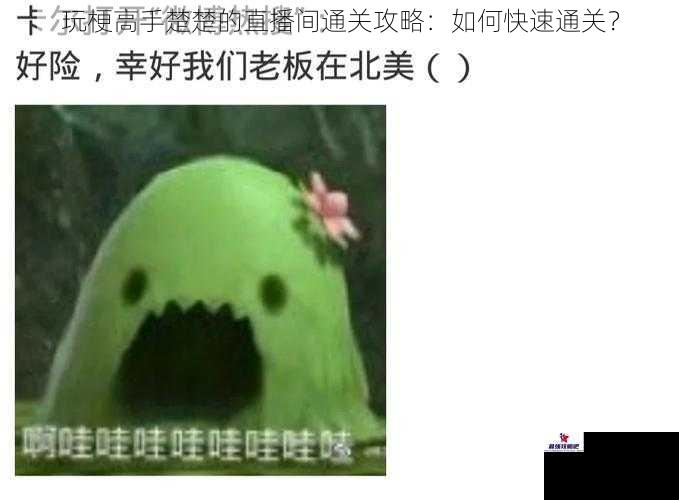 玩梗高手楚楚的直播间通关攻略：如何快速通关？