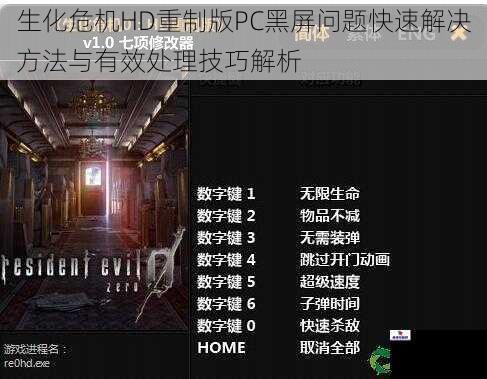 生化危机HD重制版PC黑屏问题快速解决方法与有效处理技巧解析
