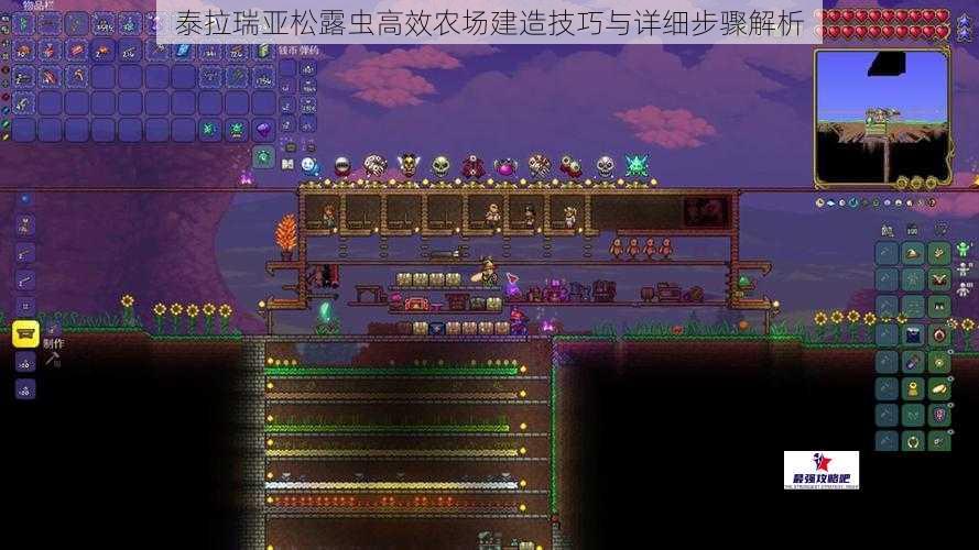 泰拉瑞亚松露虫高效农场建造技巧与详细步骤解析