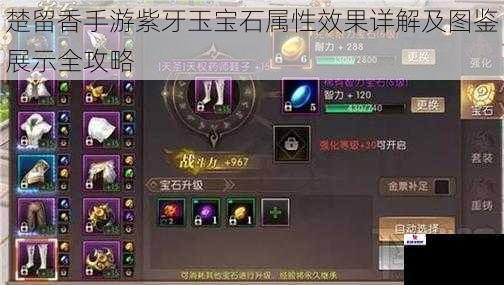 楚留香手游紫牙玉宝石属性效果详解及图鉴展示全攻略