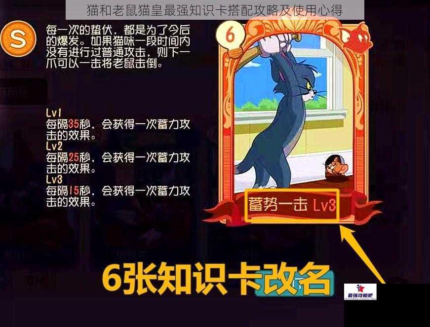 猫和老鼠猫皇最强知识卡搭配攻略及使用心得