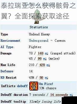 泰拉瑞亚怎么获得骸骨之翼？全面探索获取途径