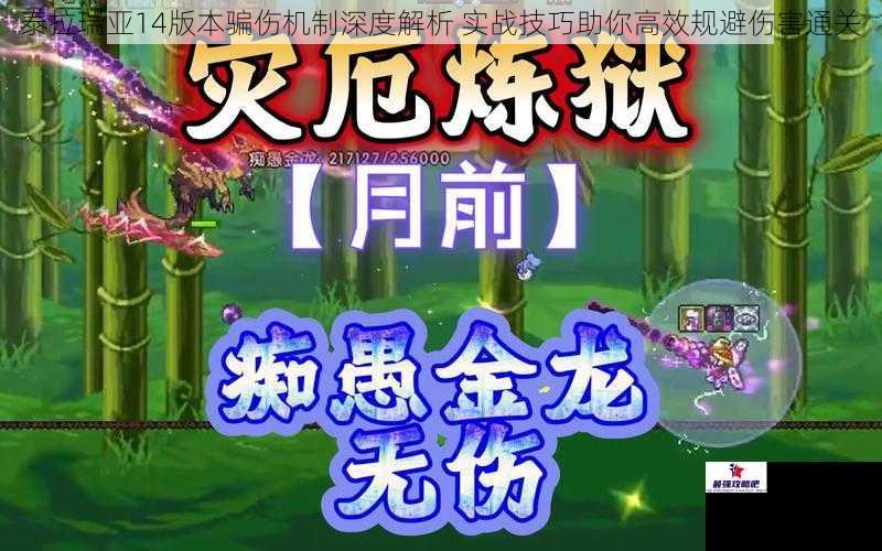 泰拉瑞亚14版本骗伤机制深度解析 实战技巧助你高效规避伤害通关