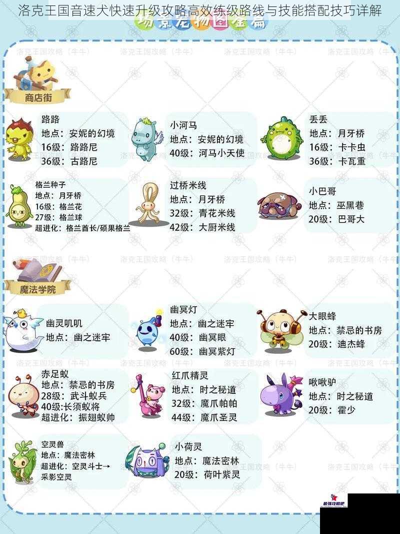 洛克王国音速犬快速升级攻略高效练级路线与技能搭配技巧详解