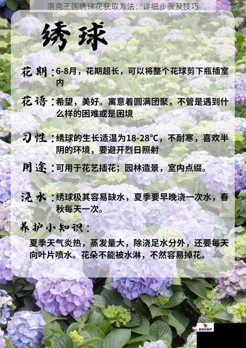 洛克王国绣球花获取方法：详细步骤及技巧