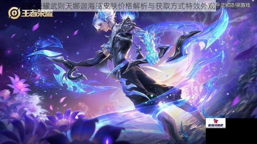 王者荣耀武则天娜迦海巫皮肤价格解析与获取方式特效外观全介绍