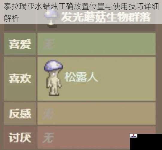 泰拉瑞亚水蜡烛正确放置位置与使用技巧详细解析