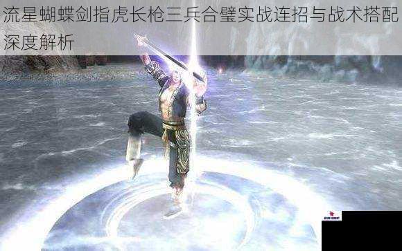 流星蝴蝶剑指虎长枪三兵合璧实战连招与战术搭配深度解析