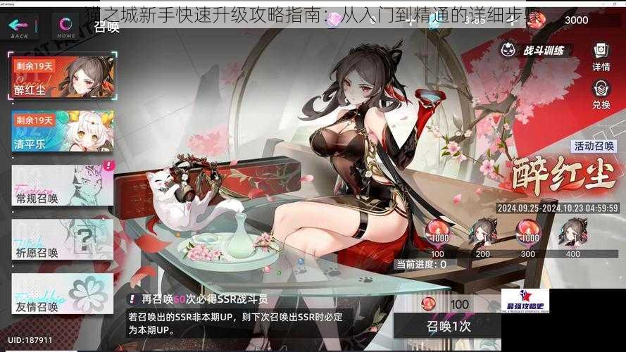 猫之城新手快速升级攻略指南：从入门到精通的详细步骤