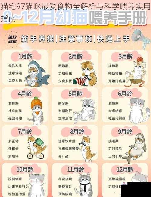 猫宅97猫咪最爱食物全解析与科学喂养实用指南