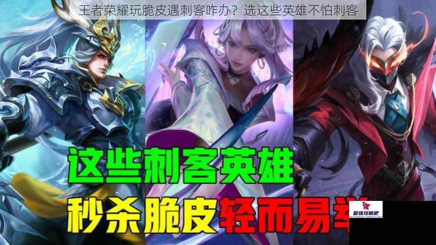 王者荣耀玩脆皮遇刺客咋办？选这些英雄不怕刺客